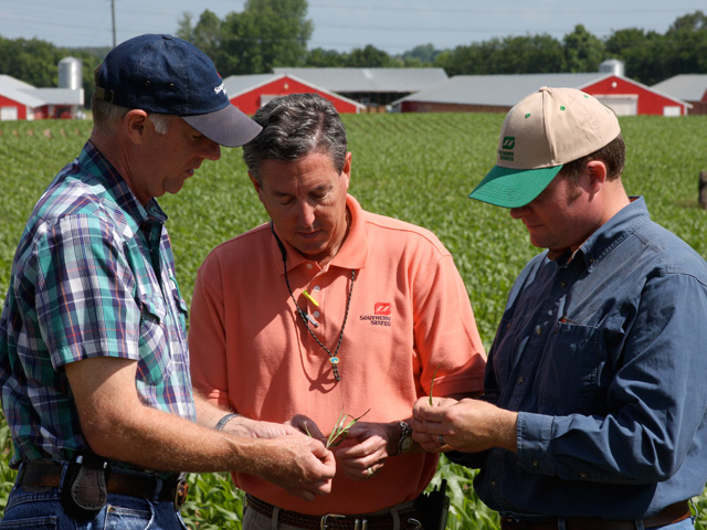 Certified crop advisers are agronomists who have been certified to have a certain levels of agronomic knowledge. (DTN/The Progressive Farmer file photo)